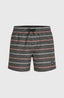 O'Neill Cali First 15'' Swimshorts - Grey O'Neill Stripe