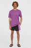 O'Neill Retro 14'' Swimshorts - Digitalis Colour Block
