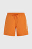 Cali 16'' Swimshorts - Cinnamon Stick