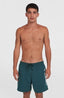 Cali 16'' Swimshorts - Alma Steel
