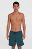 Cali 16'' Swimshorts - Alma Steel