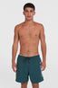 Cali 16'' Swimshorts - Alma Steel