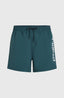 Cali 16'' Swimshorts - Alma Steel