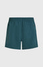 Cali 16'' Swimshorts - Alma Steel