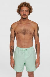 Cali 16'' Swimshorts - Mildrew Mint
