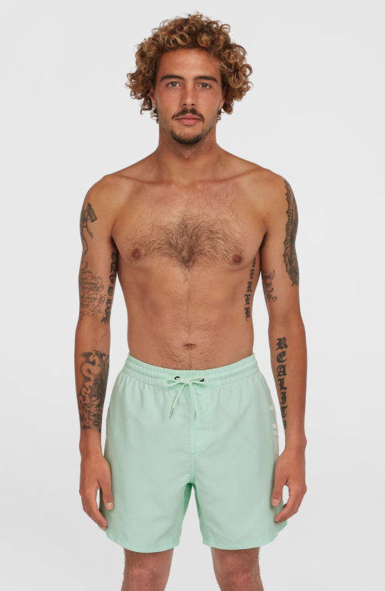 Cali 16'' Swimshorts - Mildrew Mint