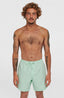 Cali 16'' Swimshorts - Mildrew Mint