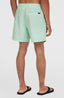 Cali 16'' Swimshorts - Mildrew Mint