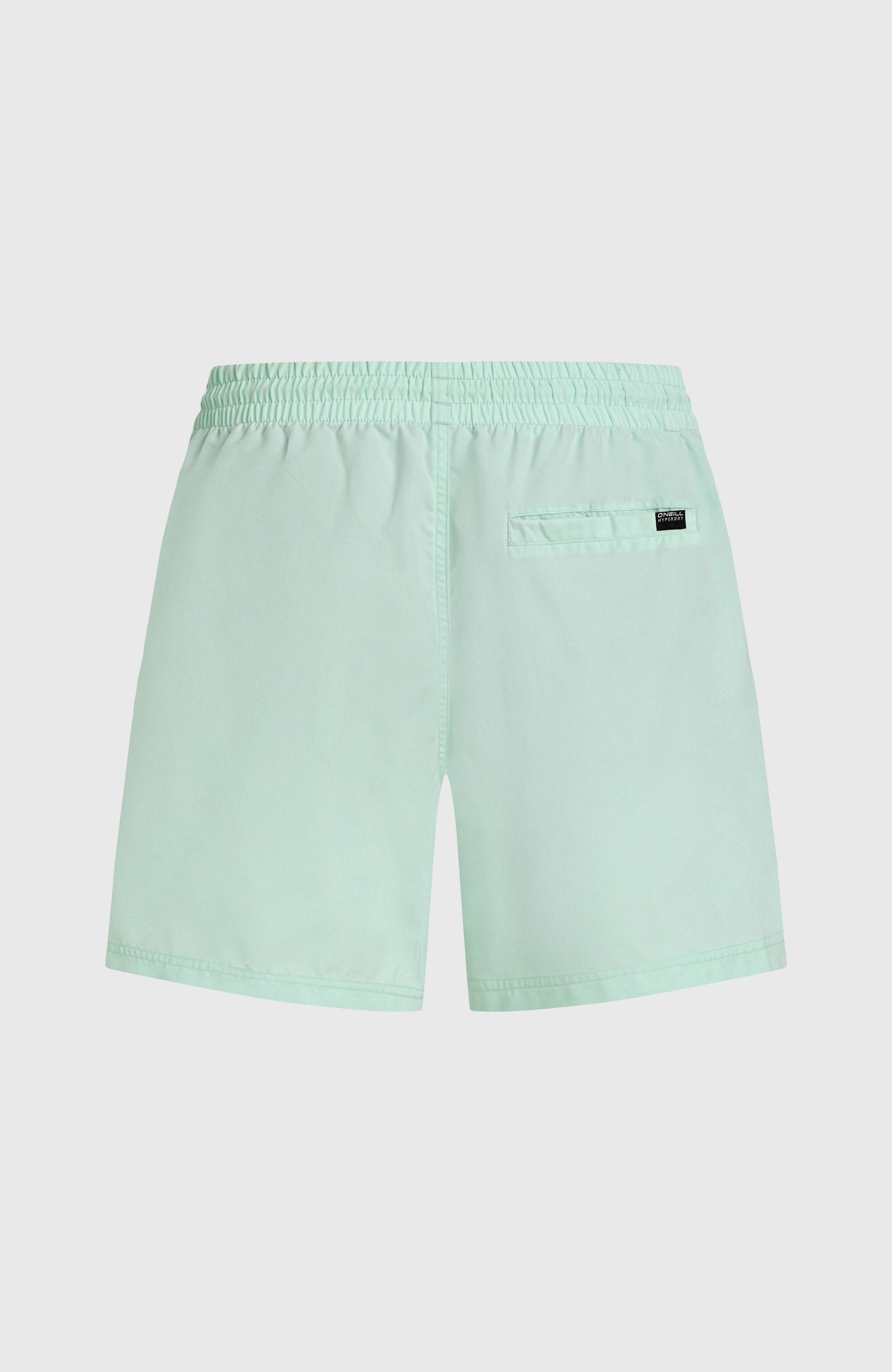 Cali 16'' Swimshorts - Mildrew Mint