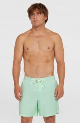 O'Neill Vert 16'' Swimshorts - Mildrew Mint