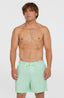 O'Neill Vert 16'' Swimshorts - Mildrew Mint