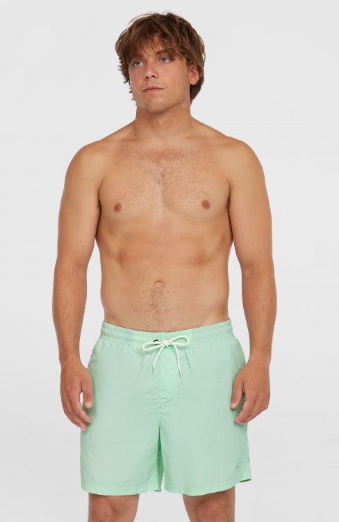 O'Neill Vert 16'' Swimshorts - Mildrew Mint