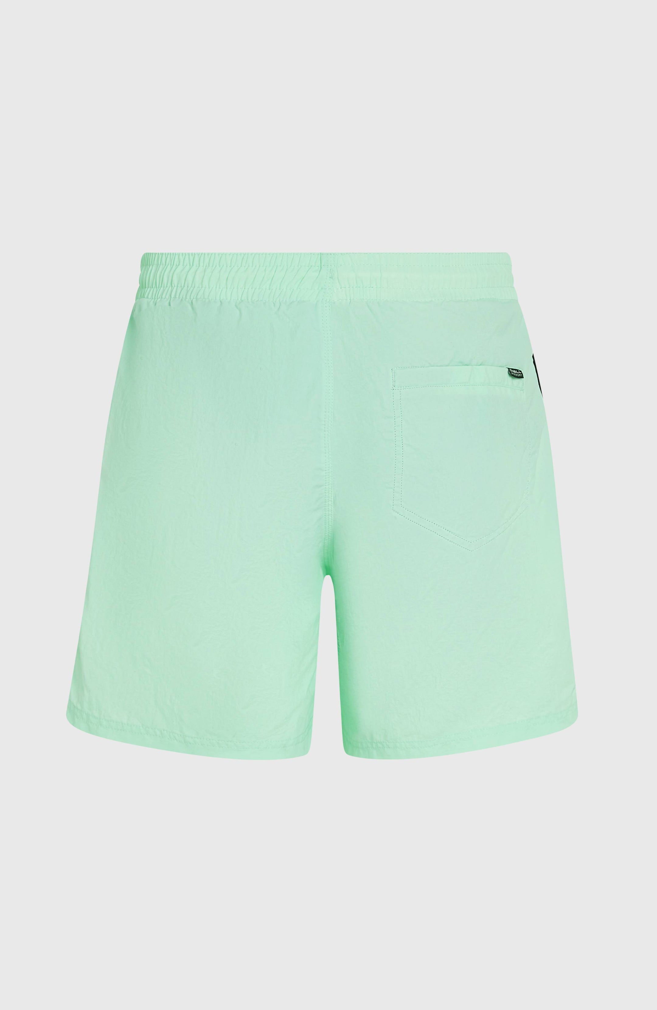 O'Neill Vert 16'' Swimshorts - Mildrew Mint