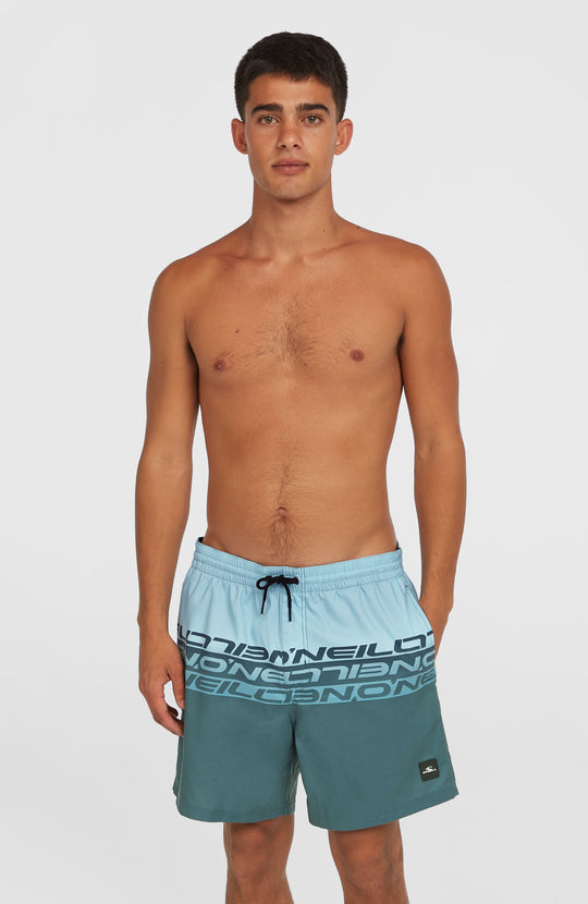 O'Neill Cali Stripe 16'' Swimshorts - Blue Upside Down