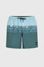 O'Neill Cali Stripe 16'' Swimshorts - Blue Upside Down