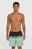 O'Neill Cali Stripe 16'' Swimshorts - Green/Black Upside Down Clean
