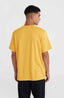 O’Neill Hybrid Logo Polygiene T-Shirt - Golden Haze