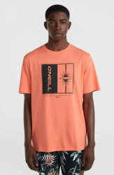 Mix & Match Palm T-Shirt - Living Coral