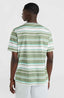 Mix & Match Stripe T-Shirt - Green Bold Stripes