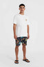 O'Neill Beach Graphic T-Shirt - Snow White