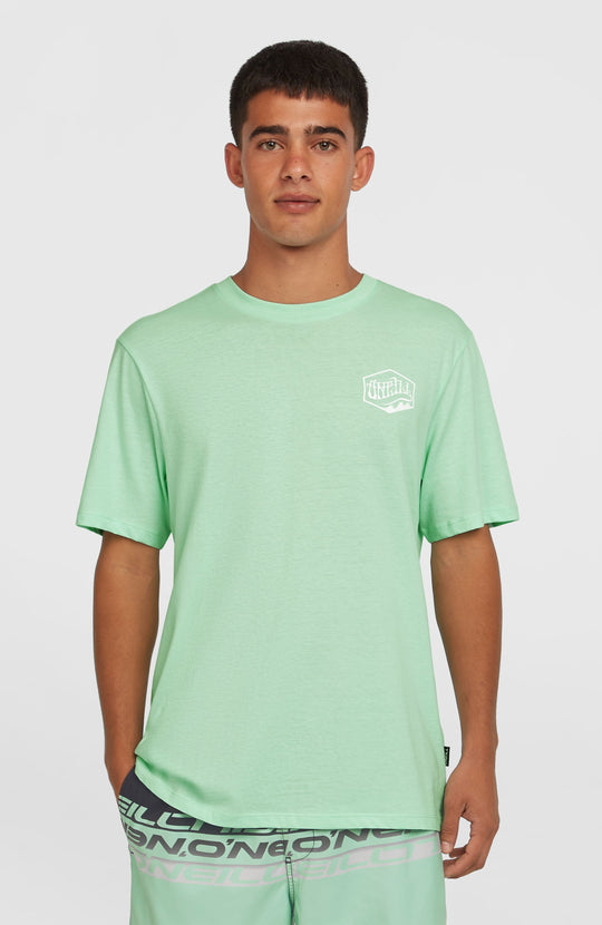 O'Neill Box Logo T-Shirt - Mildrew Mint