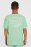 O'Neill Box Logo T-Shirt - Mildrew Mint