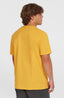 O'Neill Small Logo T-Shirt - Golden Haze
