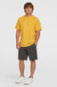 O'Neill Small Logo T-Shirt - Golden Haze