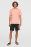 O'Neill Small Logo T-Shirt - Coral Pop