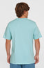 O'Neill Small Logo T-Shirt - Morning Glory