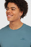 O'Neill Small Logo T-Shirt - Mozart Blue