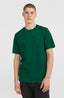 O'Neill Small Logo T-Shirt - Emerald Envy