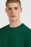O'Neill Small Logo T-Shirt - Emerald Envy