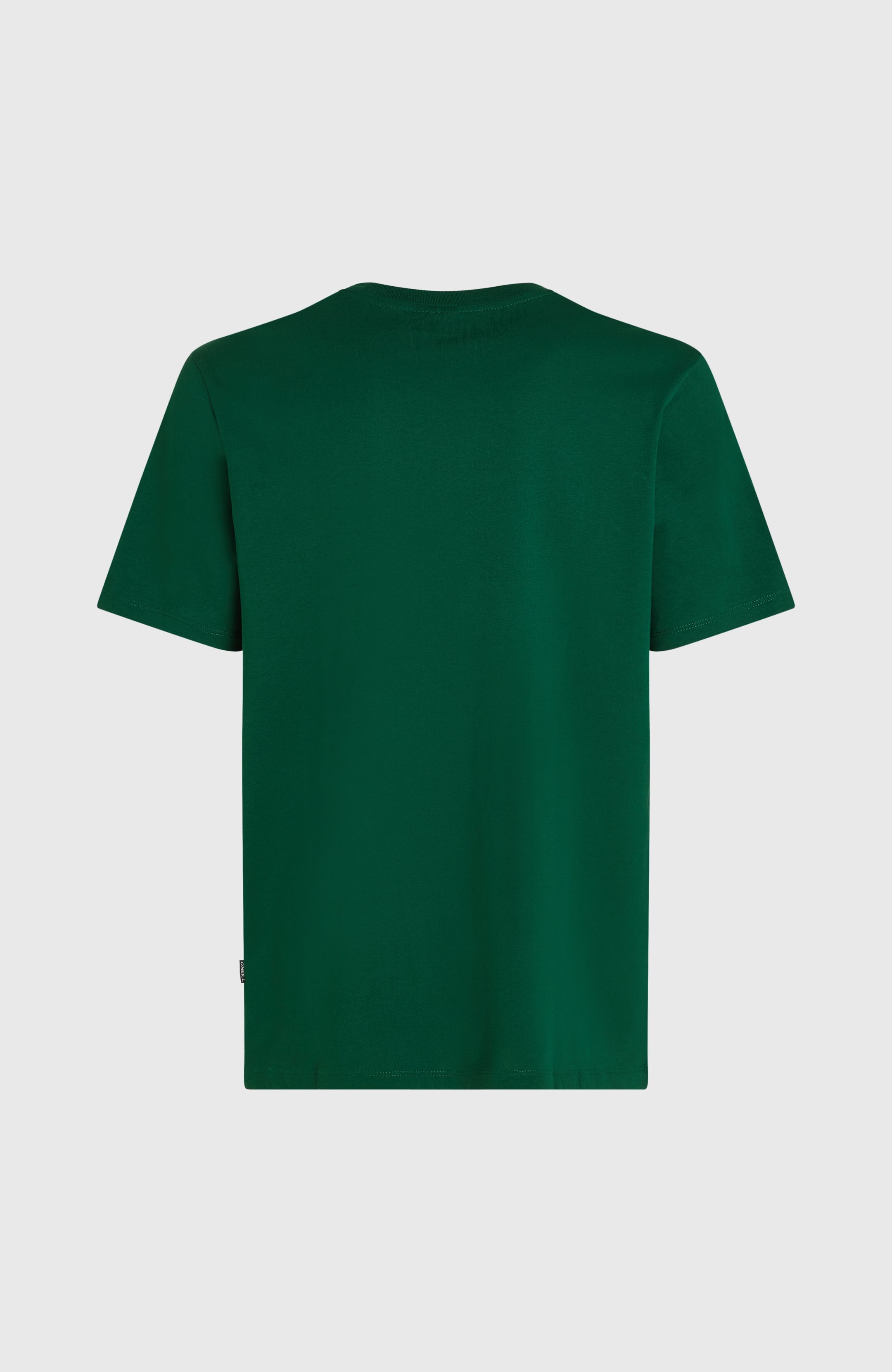 O'Neill Small Logo T-Shirt - Emerald Envy