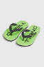 Profile Logo Sandals - Paradise Valley