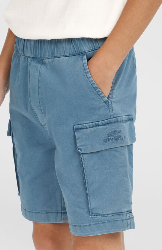 O'Neill Cargo Shorts - Copen Blue