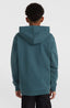 O'Neill Front Print Hoodie - Alma Steel