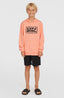 O'Neill Logo Hoodie - Coral Pop