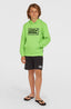 O'Neill Logo Hoodie - Paradise Valley