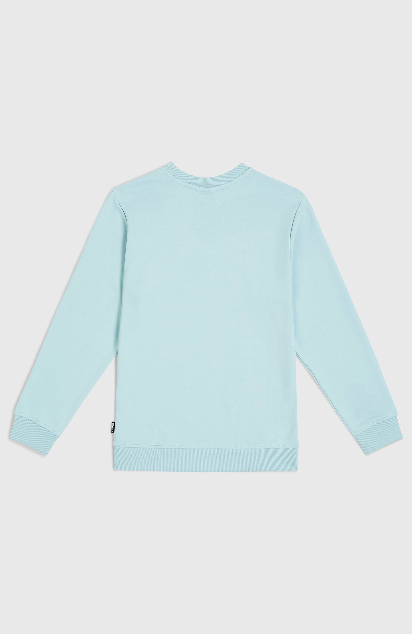 O'Neill Logo Crew - Morning Glory