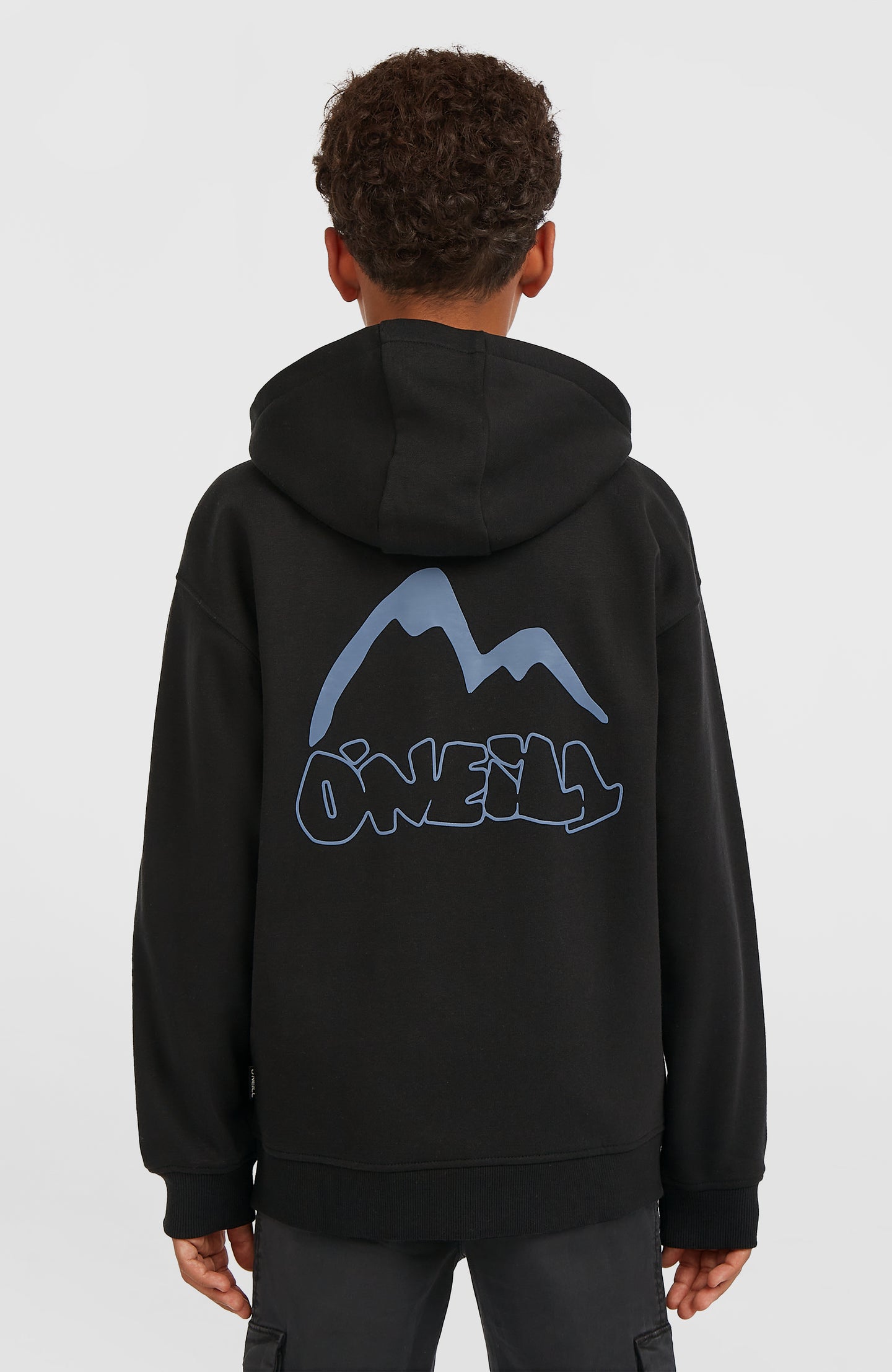 Must-Have Fz Hoodie - Black Out