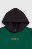 Fwc'Play Hoodie - Emerald Envy Colour Block