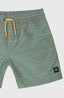 Mix & Match Cali First 13'' Swim Shorts - Lily Pad First Name Stripe