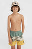 Mix & Match Cali Block 13'' Swim Shorts - Beige Venice Beach