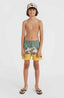 Mix & Match Cali Block 13'' Swim Shorts - Beige Venice Beach
