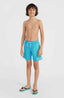 Vert 14" Swim Shorts - Neon Blue