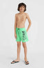 O'Riginals Cali 14" Swim Shorts - Neon Green