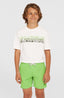O'Neill Vert 14" Swimshorts - Paradise Valley