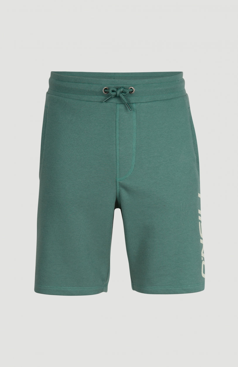 O'Neill Logo Sweatshorts - Sea Pine
