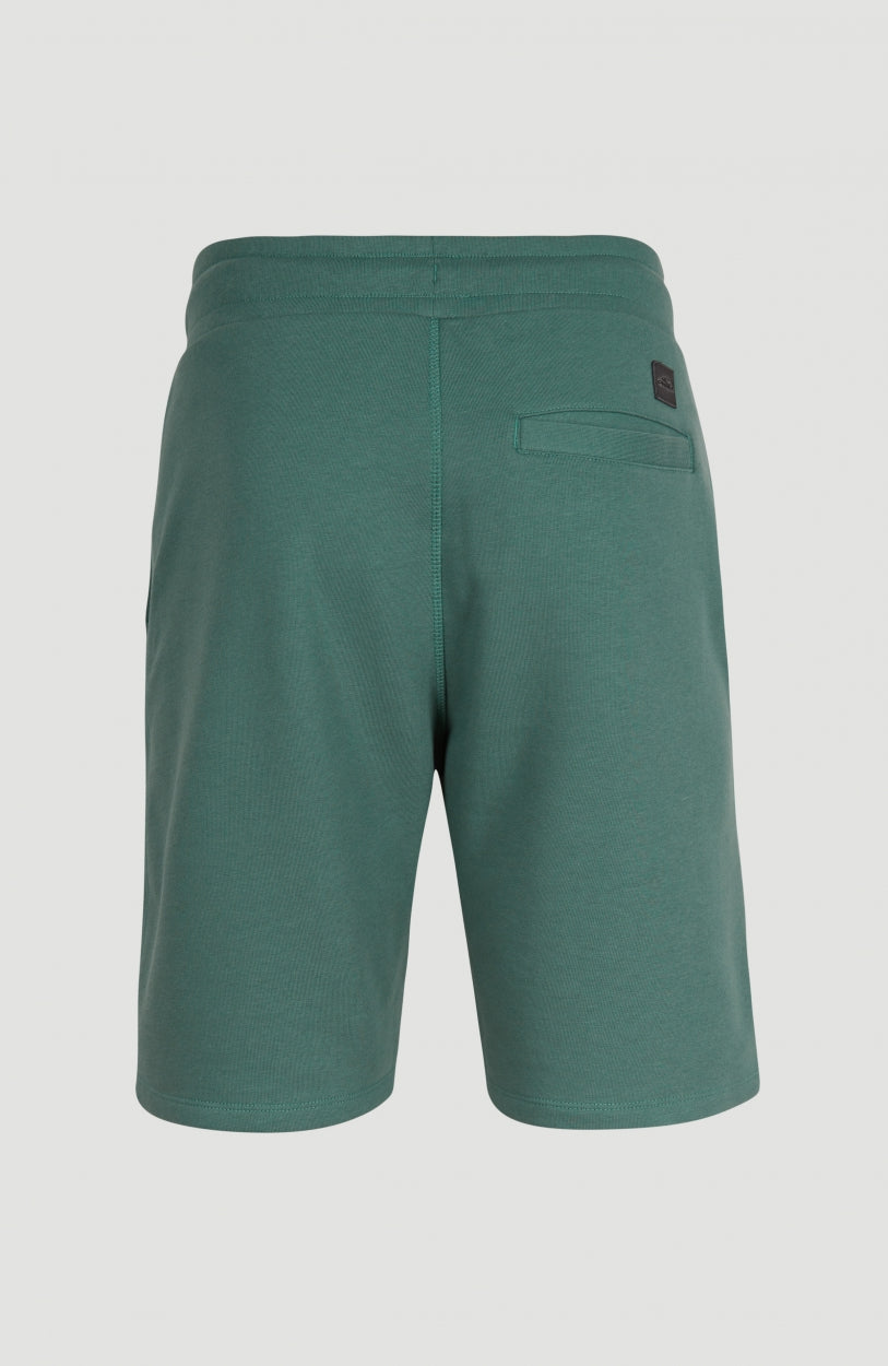O'Neill Logo Sweatshorts - Sea Pine
